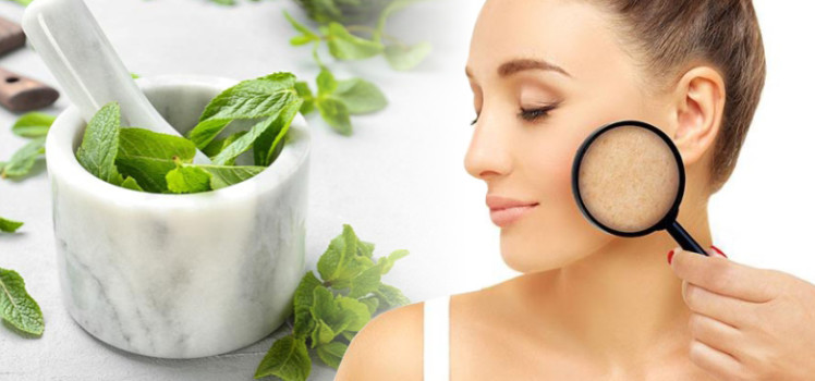 Different-Ways-to-Use-Mint-Leaves-for-Acne-and-Acne-Scars